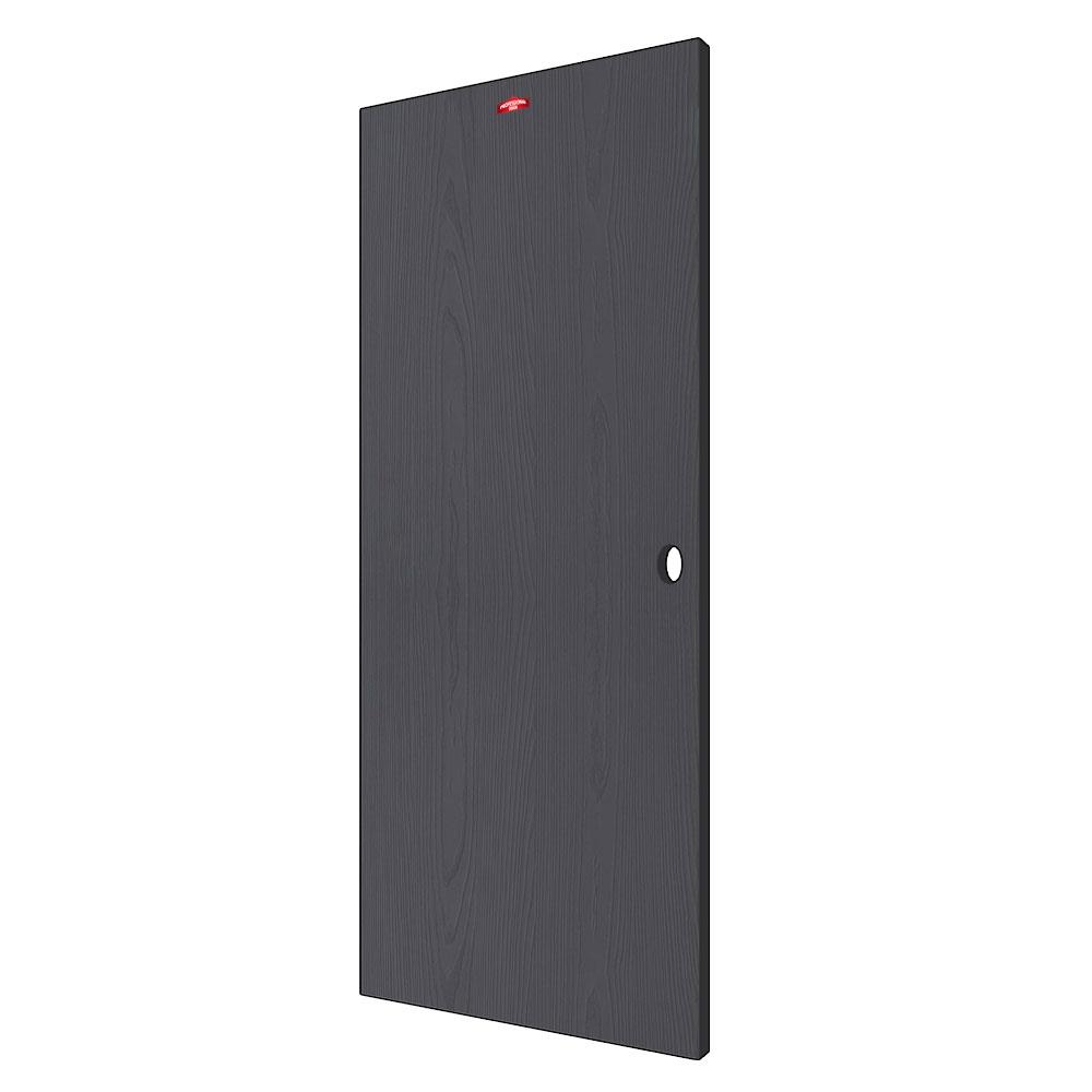 ประตูภายนอกเหล็ก เจาะลูกบิด PROFESSIONAL DOOR WD1BK 79.2x199.4 สีเทาเม็ดทราย
