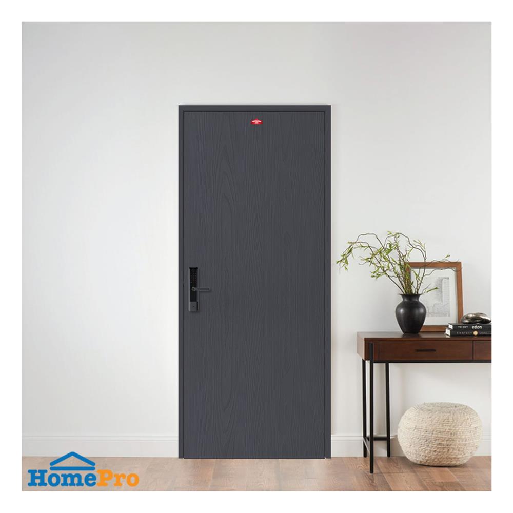 ประตูภายนอกเหล็ก เจาะลูกบิด PROFESSIONAL DOOR WD1BK 79.2x199.4 สีเทาเม็ดทราย