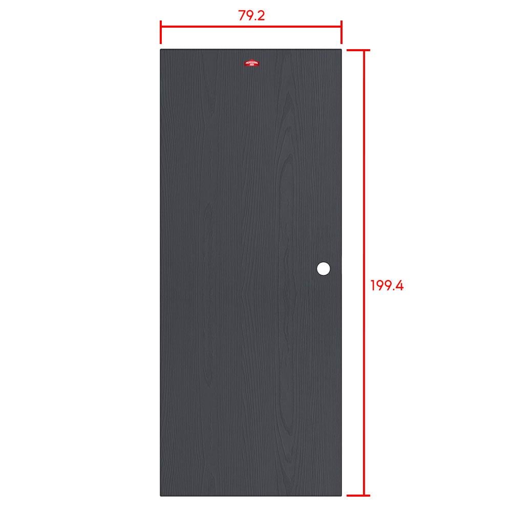 ประตูภายนอกเหล็ก เจาะลูกบิด PROFESSIONAL DOOR WD1BK 79.2x199.4 สีเทาเม็ดทราย