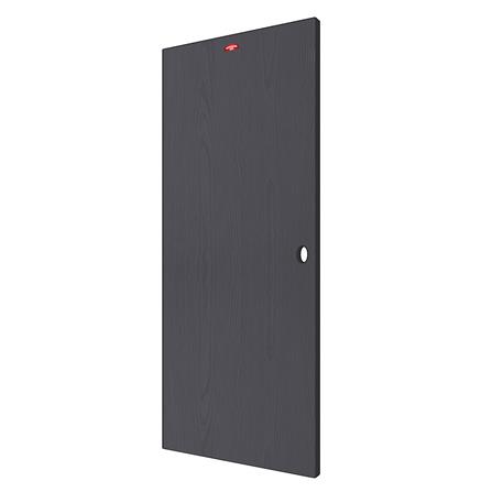ประตูภายนอกเหล็ก เจาะลูกบิด PROFESSIONAL DOOR WD1BK 79.2x199.4 สีเทาเม็ดทราย_1
