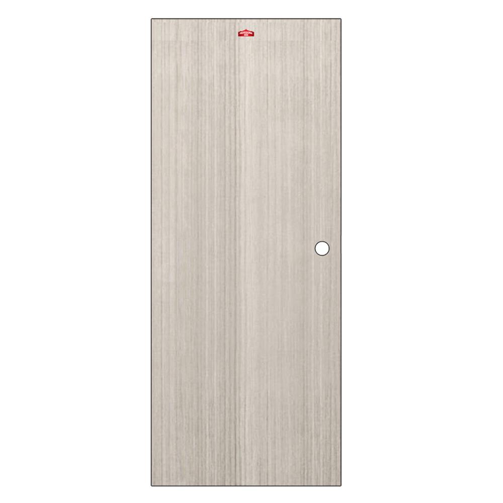 ประตูภายในเหล็ก เจาะลูกบิด PROFESSIONAL DOOR D2-41 89.2x199.4 ซม. สีเทา