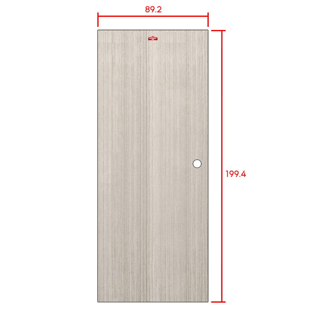 ประตูภายในเหล็ก เจาะลูกบิด PROFESSIONAL DOOR D2-41 89.2x199.4 ซม. สีเทา
