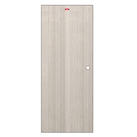 ประตูภายในเหล็ก เจาะลูกบิด PROFESSIONAL DOOR D2-41 89.2x199.4 ซม. สีเทา_0