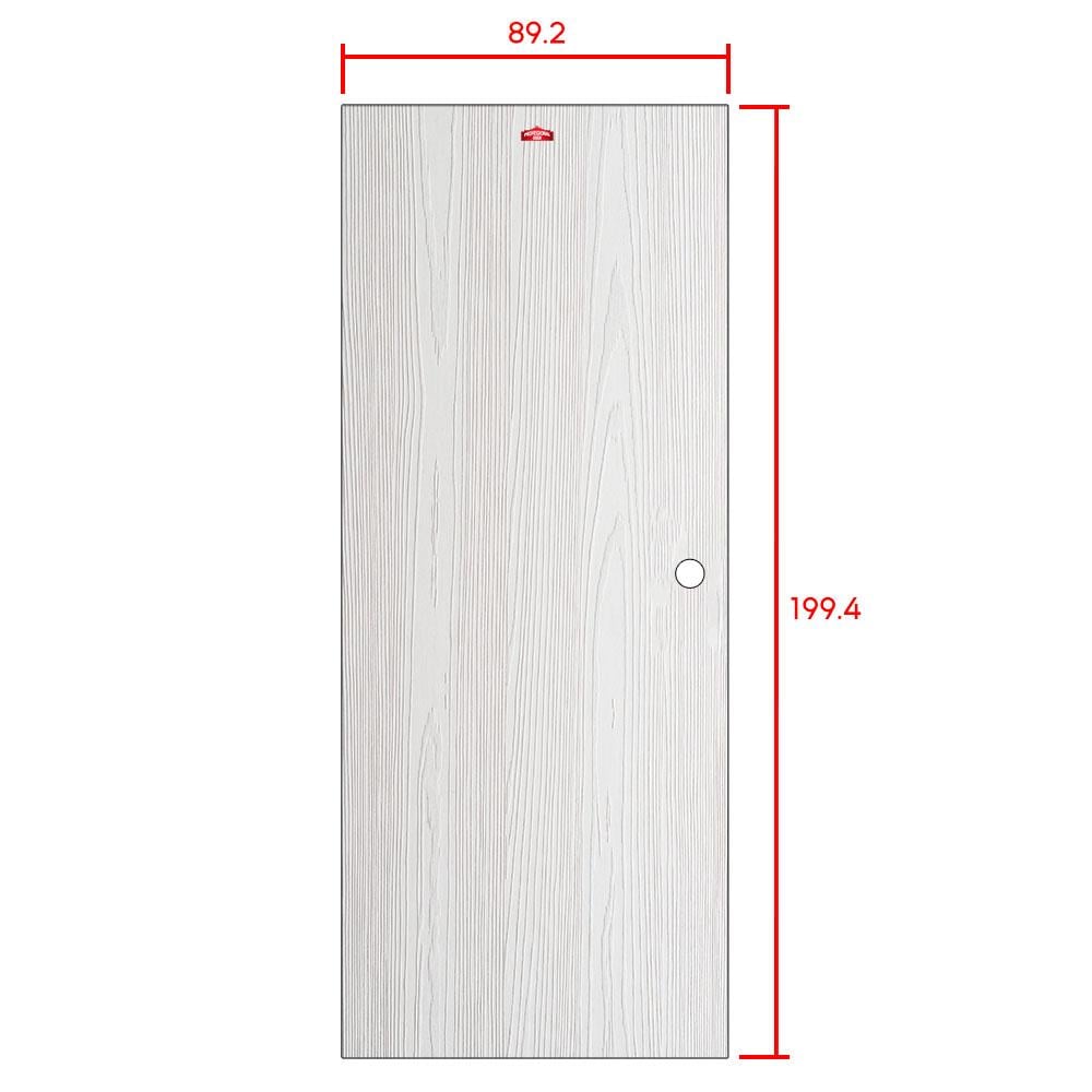 ประตูภายนอกเหล็ก เจาะลูกบิด PROFESSIONAL DOOR WD2W 89.2x199.4 สีขาวเม็ดทราย