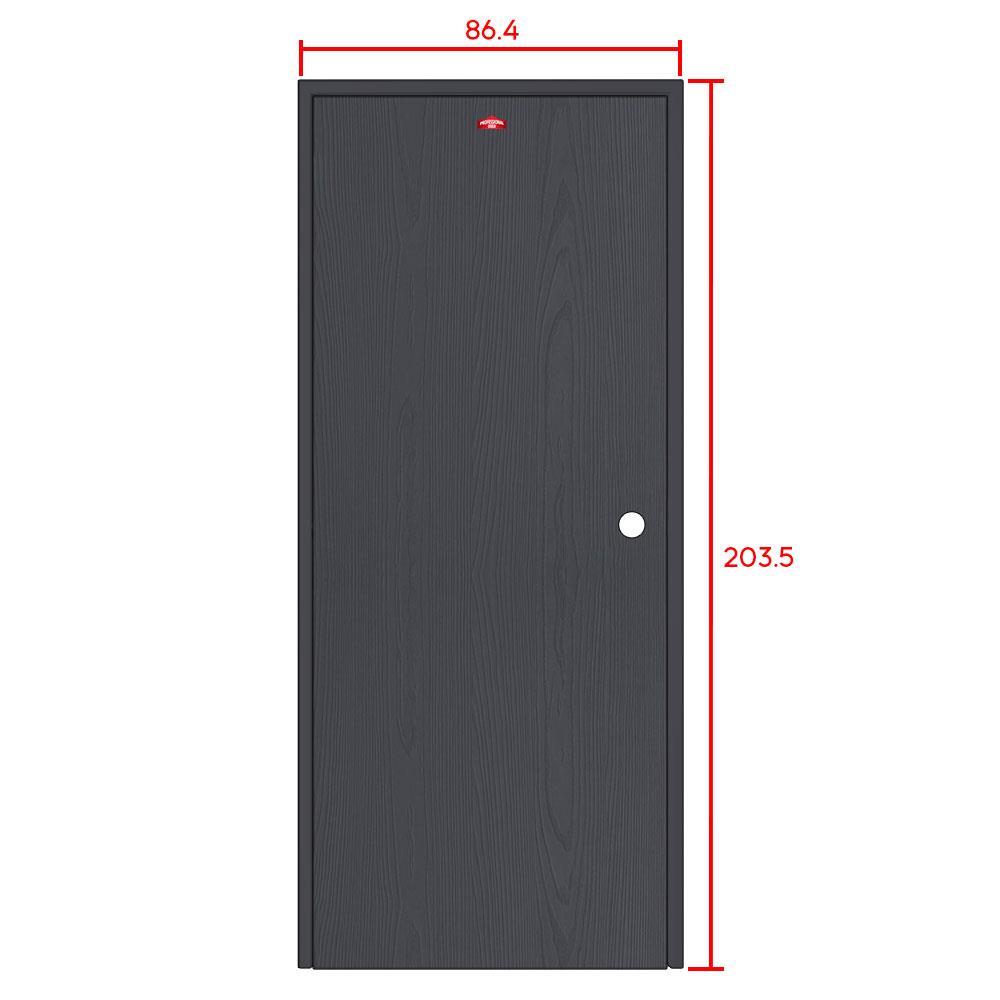 ชุดประตูเหล็ก เจาะลูกบิด PROFESSIONAL DOOR FR1RBK+WD1BK 86.4x203.5 ซม. สีเทาเม็ดทราย