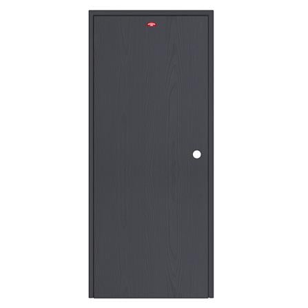 ชุดประตูเหล็ก เจาะลูกบิด PROFESSIONAL DOOR FR1RBK+WD1BK 86.4x203.5 ซม. สีเทาเม็ดทราย_0