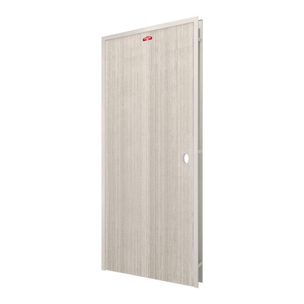 ชุดประตูเหล็ก เจาะลูกบิด PROFESSIONAL DOOR FR1LG+D141 86.4x203.5 ซม. สีเทา