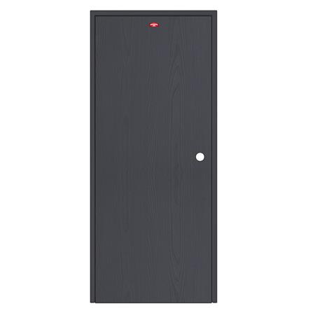 ชุดประตูเหล็ก เจาะลูกบิด PROFESSIONAL DOOR FR2RBK+WD2BK 96.4x203.5 ซม. สีเทาเม็ดทราย_0