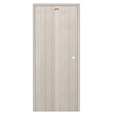 ชุดประตูภายในเหล็ก เจาะลูกบิด PROFESSIONAL DOOR FR2LG+D241 96.4x203.5 ซม. สีเทา_0