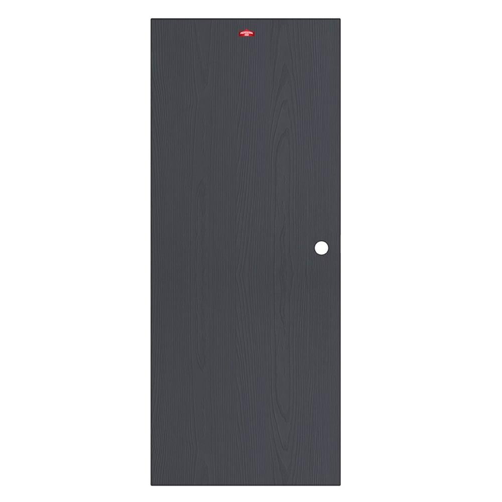 ประตูภายนอกเหล็ก เจาะลูกบิด PROFESSIONAL DOOR WD2BK 89.2x199.4 ซม. สีเทาเม็ดทราย