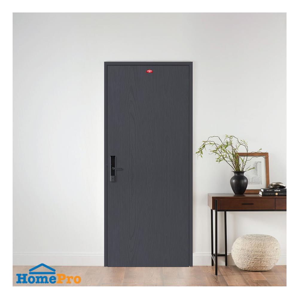 ประตูภายนอกเหล็ก เจาะลูกบิด PROFESSIONAL DOOR WD2BK 89.2x199.4 ซม. สีเทาเม็ดทราย