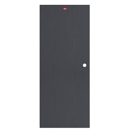 ประตูภายในเหล็ก เจาะลูกบิด PROFESSIONAL DOOR WD2BK 89.2x199.4 ซม. สีเทาเม็ดทราย_0