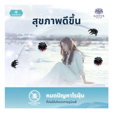 ผ้ารองกันเปื้อน KING SIZE LOTUS ICETECH สี WHITE_15