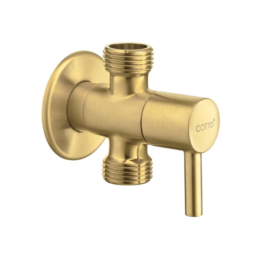 สต๊อปวาล์ว 2 ทาง COTTO CT1702BGR(HM)