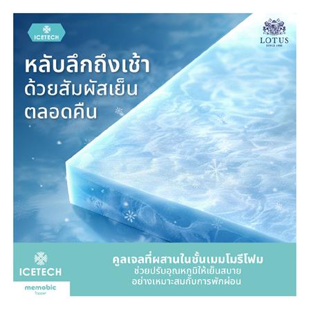 ที่นอน 5 ฟุต LOTUS ICELAND พร้อมหมอนหนุน 2 ใบ_11