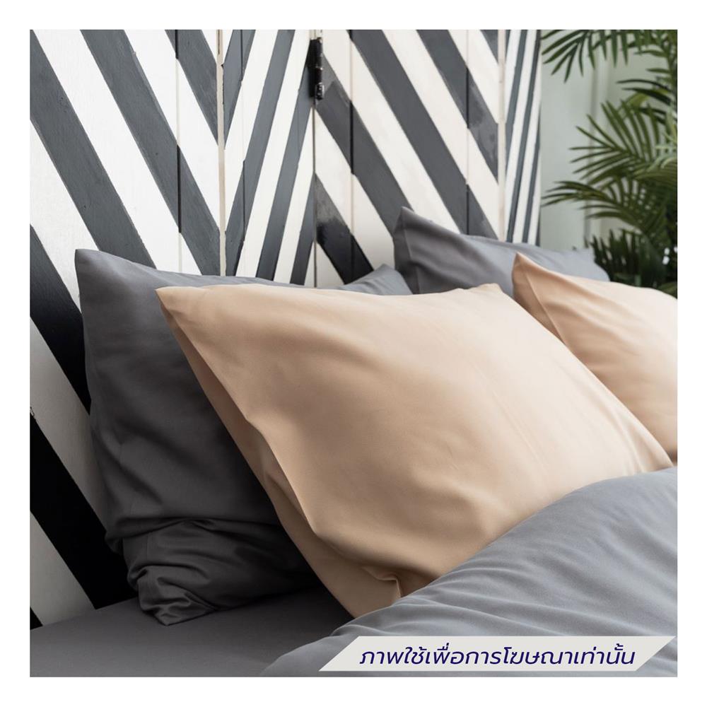 ชุดผ้าปูที่นอน 5 ฟุต (ชุด 6 ชิ้น) SANTA BEDDING สี GREY/BROWN