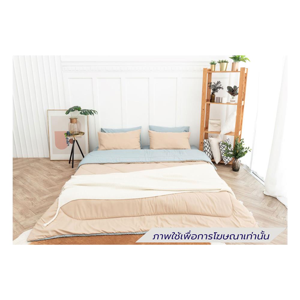 ชุดผ้าปูที่นอน 6 ฟุต (ชุด 6 ชิ้น) SANTA BEDDING สี LIGHT BLUE/CREAM