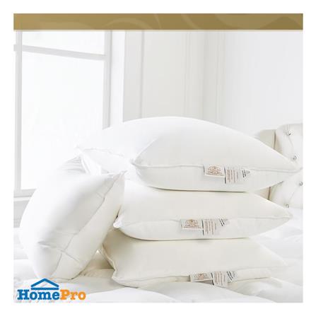 หมอนหนุน LUXURY PILLOW CLASSICAL COTTON SOFT 19x29 นิ้ว_2
