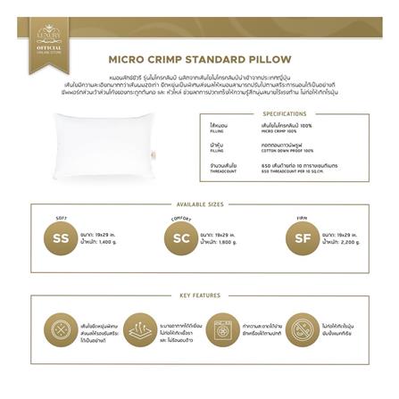 หมอนหนุน LUXURY PILLOW CLASSICAL COTTON SOFT 19x29 นิ้ว_3