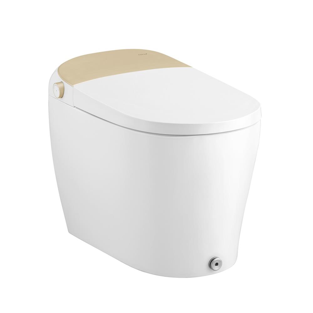 สุขภัณฑ์อัตโนมัติ COTTO C10122 SR