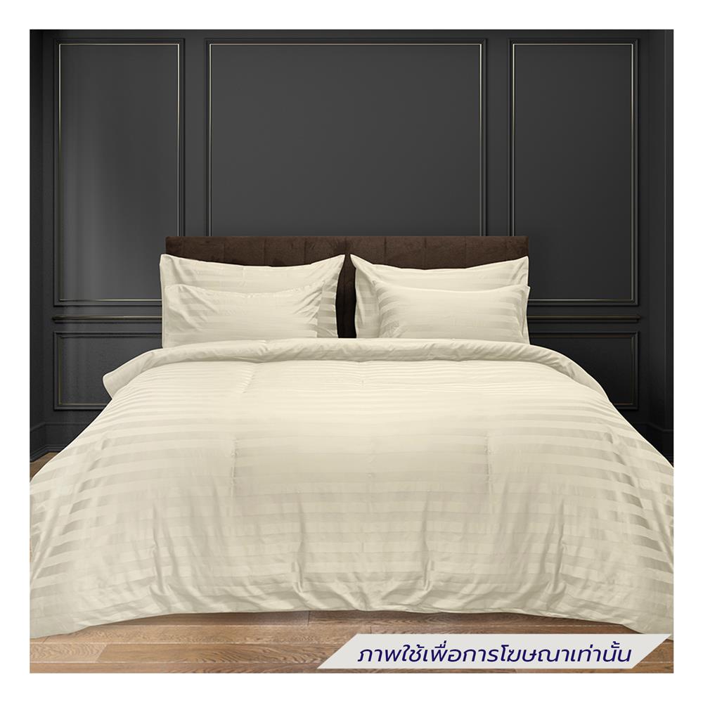 ผ้าปูที่นอน PICASSO COTTON STRIPE 630TC 42x78 นิ้ว สี CREAM