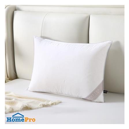 หมอนหนุน ขนเป็ด BENETTA DUCK DOWN FIRM 50x70 ซม. สีขาว_5