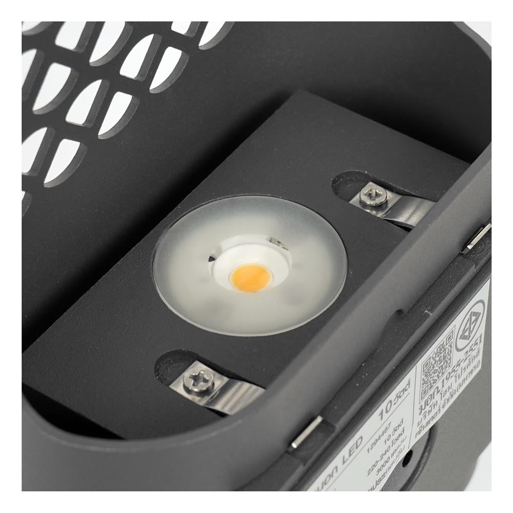 ไฟกิ่งภายนอก LED CARINI BO-GR2136S 10 วัตต์ WARM WHITE สีบรอนซ์