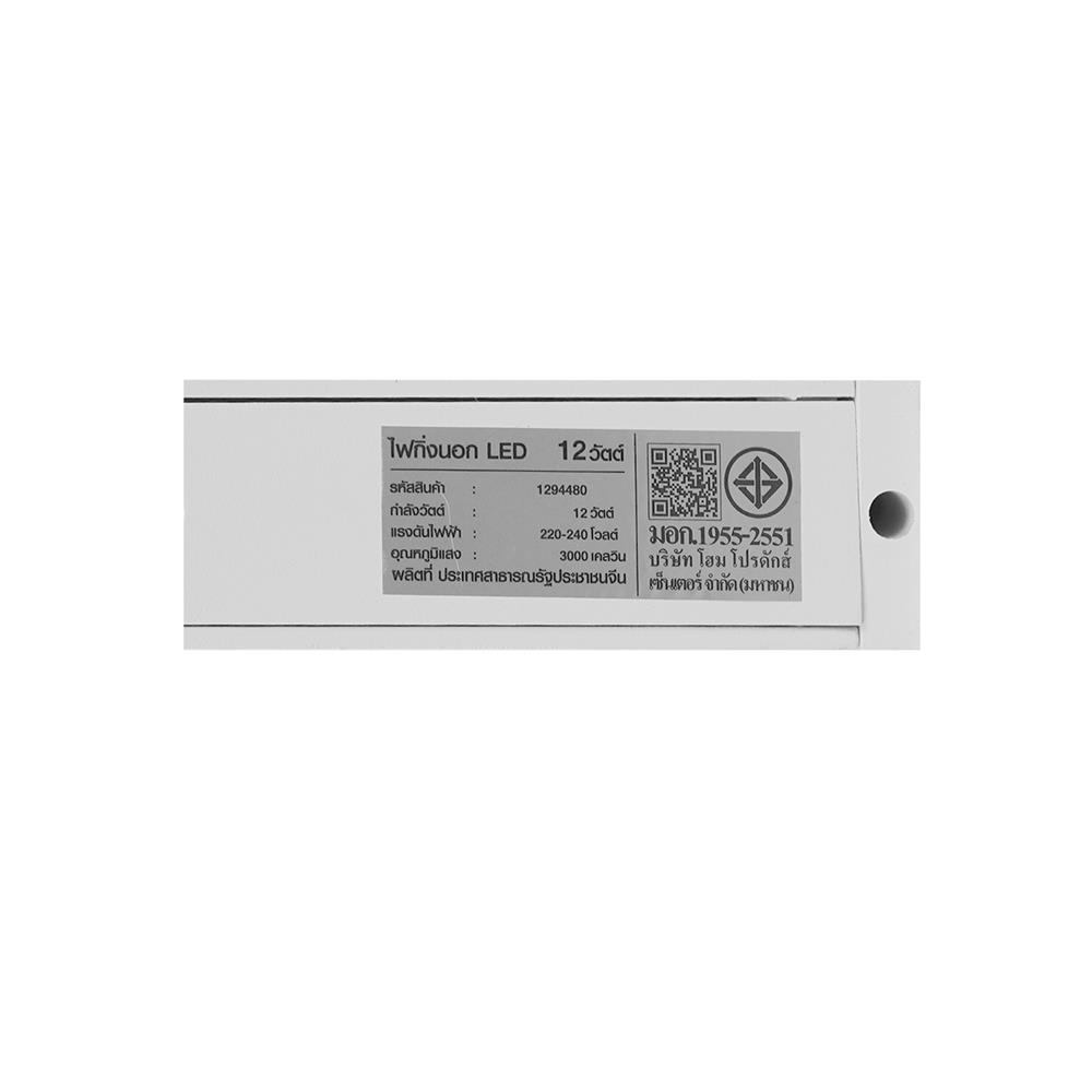 ไฟกิ่งภายนอก LED CARINI BO-G8238S 12 วัตต์ WARM WHITE สีขาว