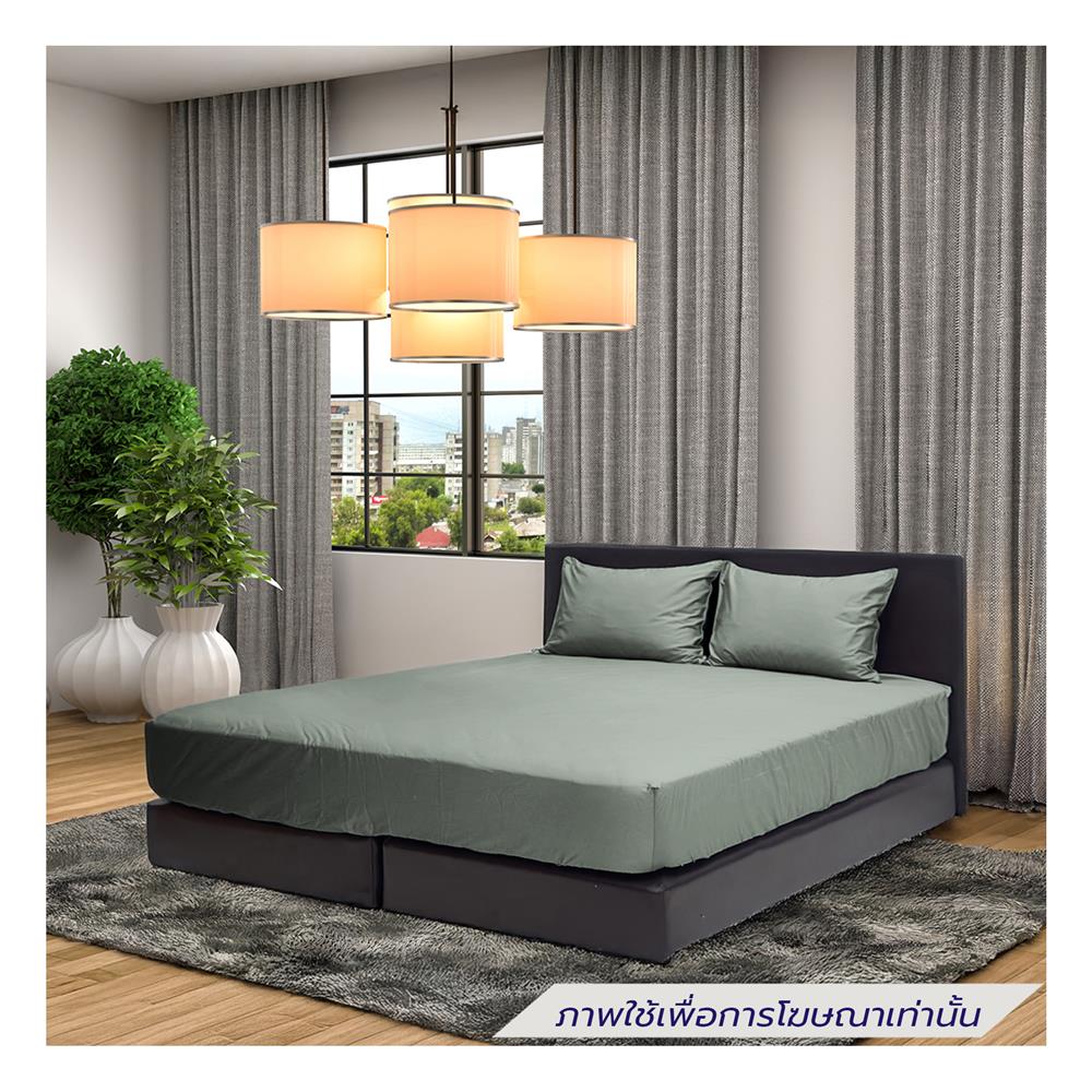 ชุดผ้าปูที่นอน 5 ฟุต (ชุด 5 ชิ้น) STEVENS PURE COTTON PZ02GN