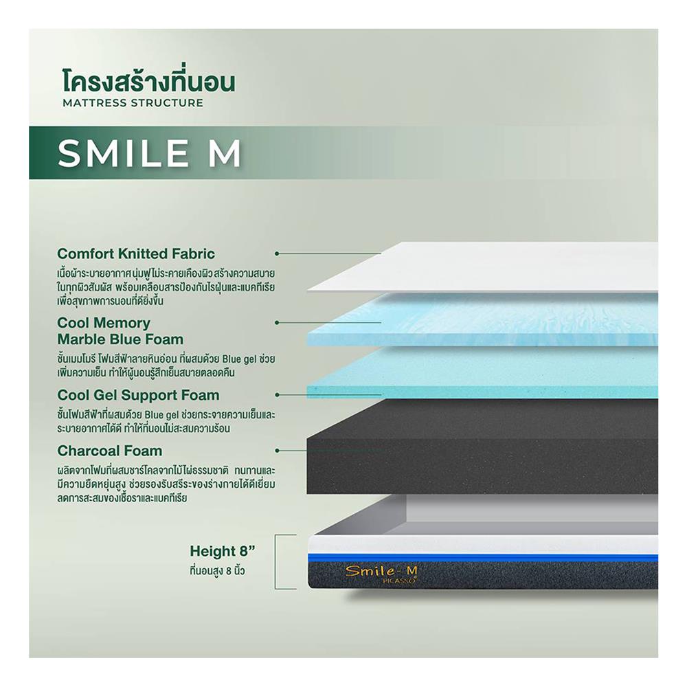 ที่นอน 6 ฟุต PICASSO SMILE M 8 นิ้ว (พร้อมหมอนหนุน 2 ใบ)