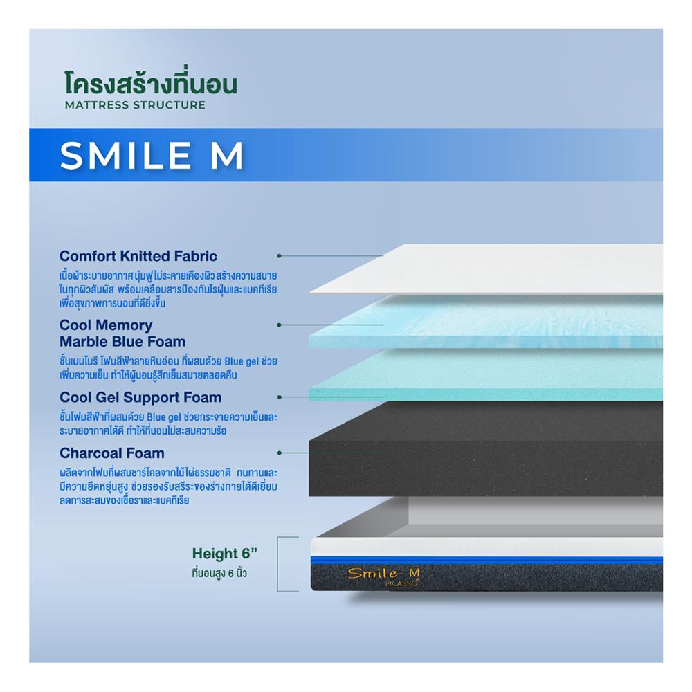 ที่นอน 5 ฟุต PICASSO SMILE M 6 นิ้ว (พร้อมหมอนหนุน 2 ใบ)