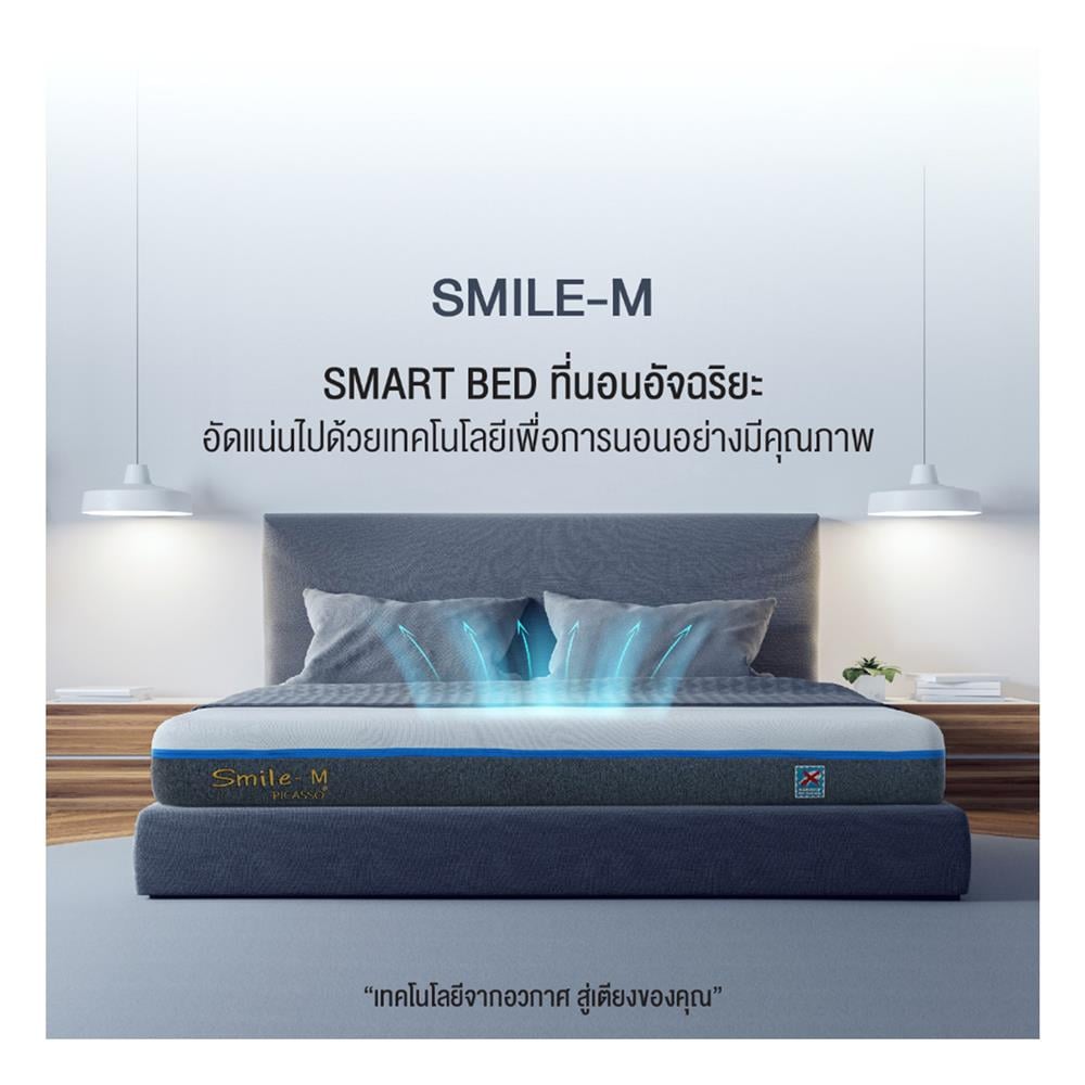 ที่นอน 5 ฟุต PICASSO SMILE M 6 นิ้ว (พร้อมหมอนหนุน 2 ใบ)