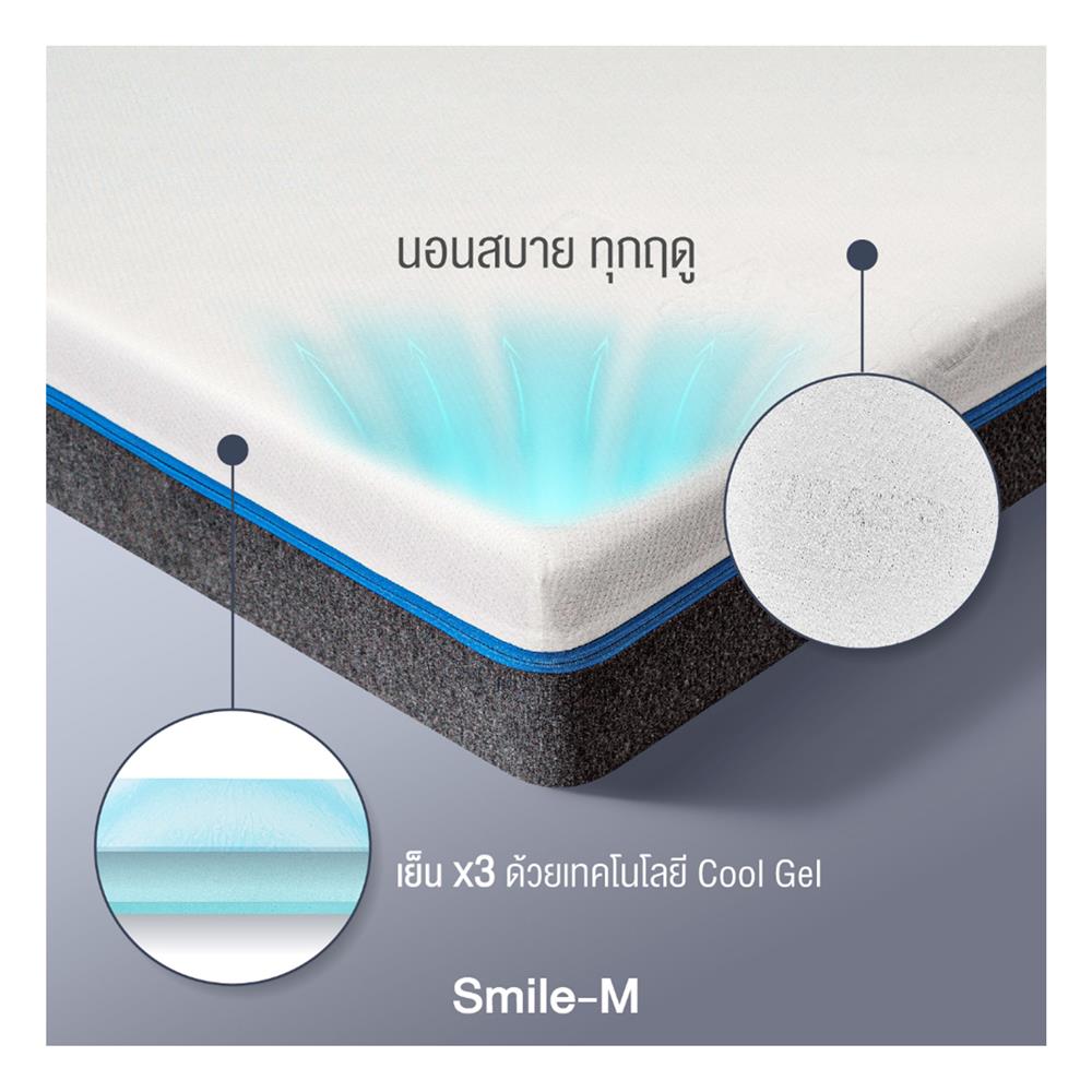 ที่นอน 5 ฟุต PICASSO SMILE M 6 นิ้ว (พร้อมหมอนหนุน 2 ใบ)