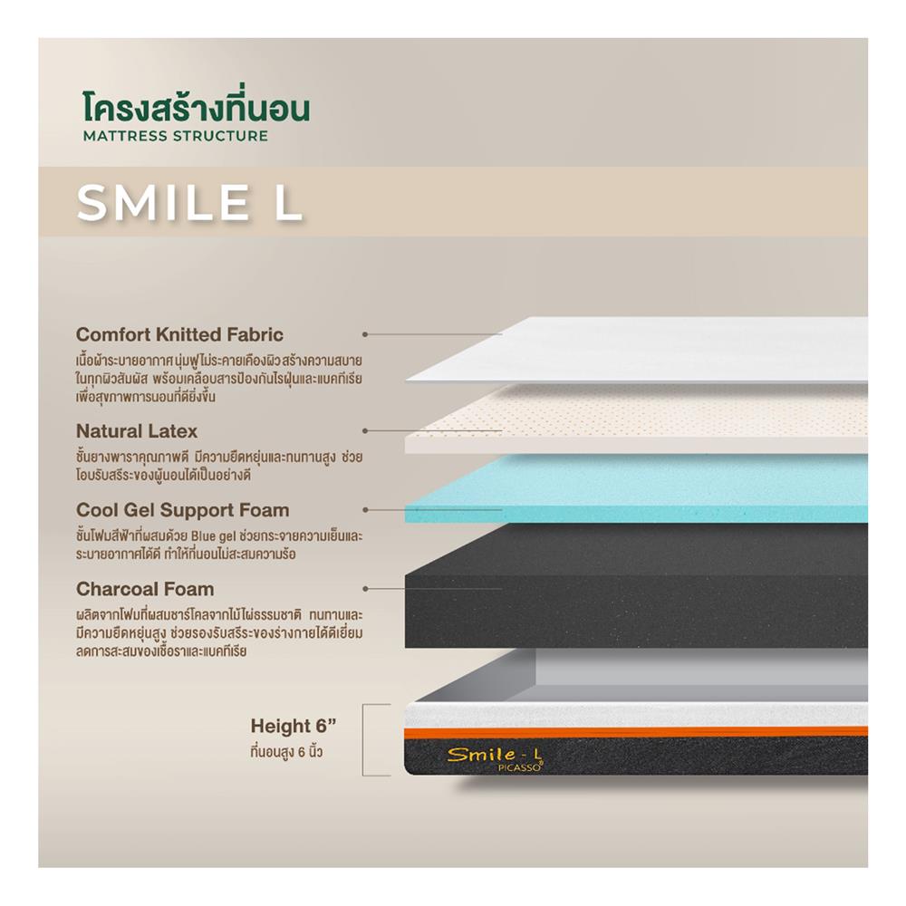 ที่นอน 5 ฟุต PICASSO SMILE L 6 นิ้ว (พร้อมหมอนหนุน 2 ใบ)