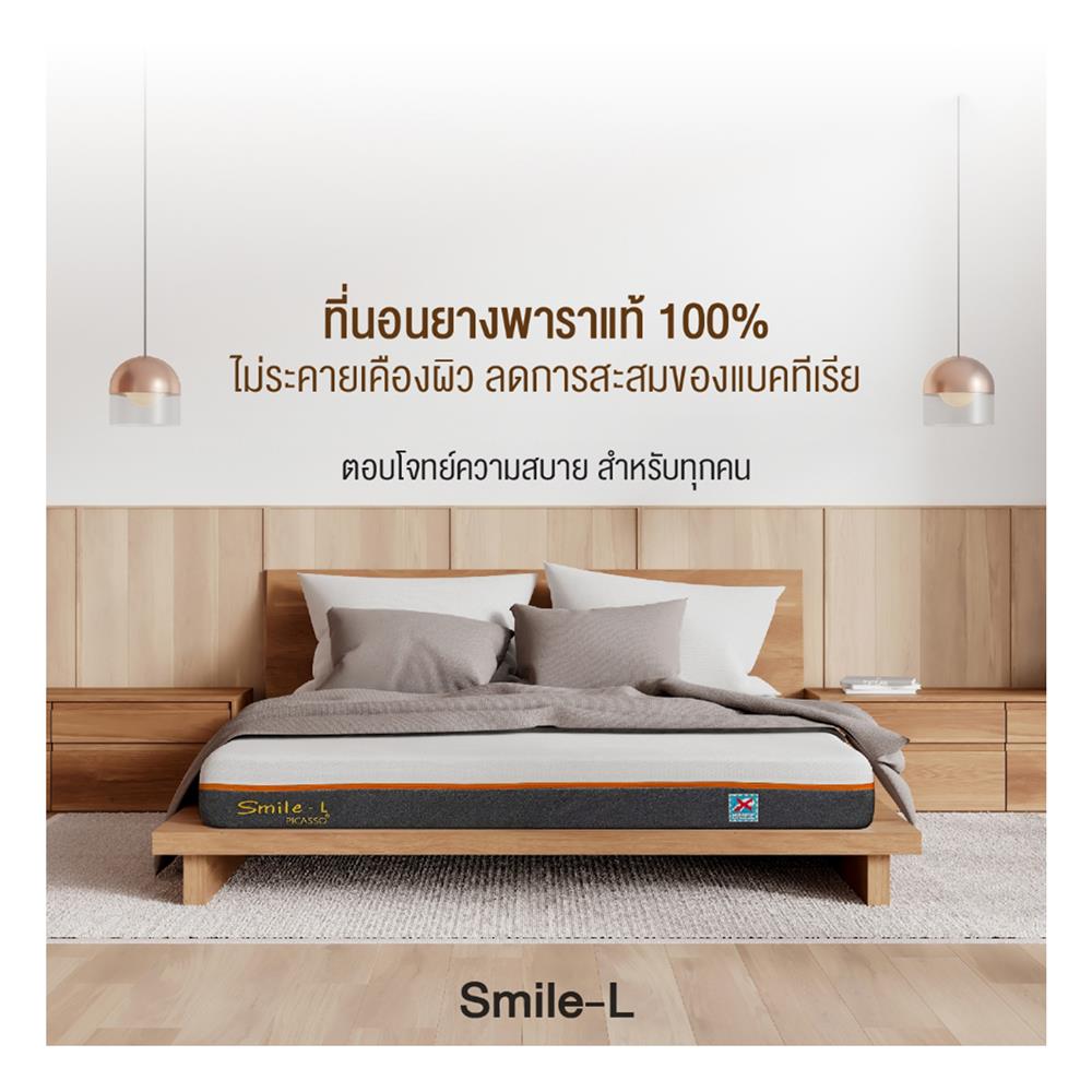 ที่นอน 5 ฟุต PICASSO SMILE L 4 นิ้ว (พร้อมหมอนหนุน 2 ใบ)