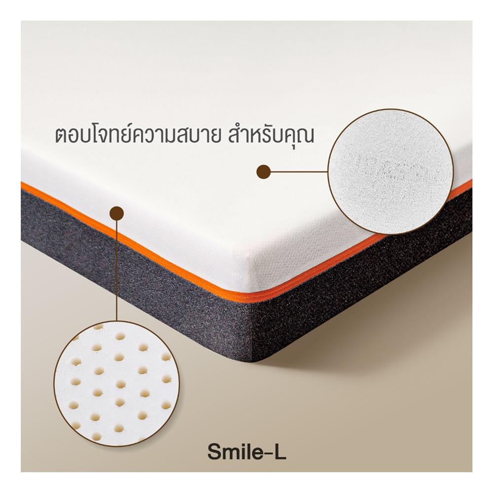 ที่นอน 5 ฟุต PICASSO SMILE L 4 นิ้ว (พร้อมหมอนหนุน 2 ใบ)