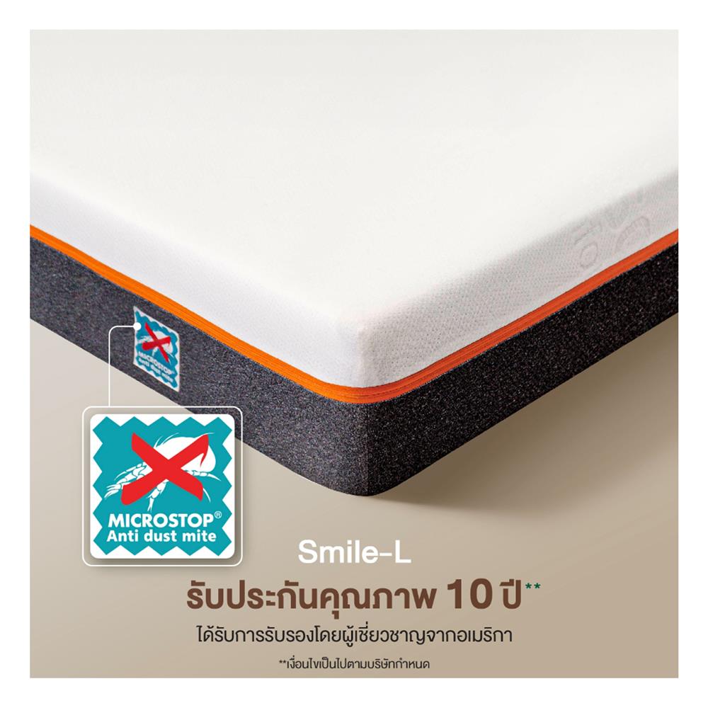 ที่นอน 5 ฟุต PICASSO SMILE L 4 นิ้ว (พร้อมหมอนหนุน 2 ใบ)