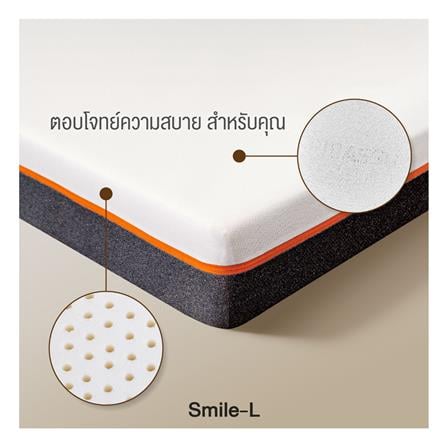 ที่นอน 5 ฟุต PICASSO SMILE L 4 นิ้ว (พร้อมหมอนหนุน 2 ใบ)_9