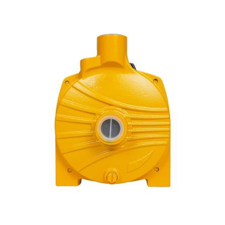 ปั๊มหอยโข่ง DEXZON HPA 1 แรงม้า_1