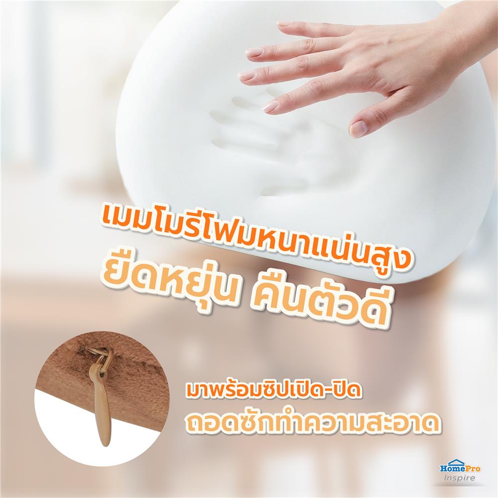 เบาะรองหลัง SNAZZ LITTLE-B 16.5X13นิ้ว สีน้ำตาล