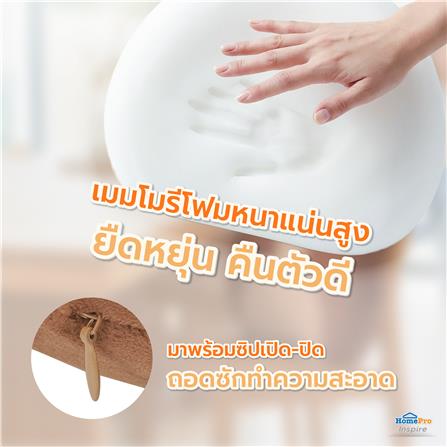 เบาะรองหลัง SNAZZ LITTLE-B 16.5X13นิ้ว สีน้ำตาล_8