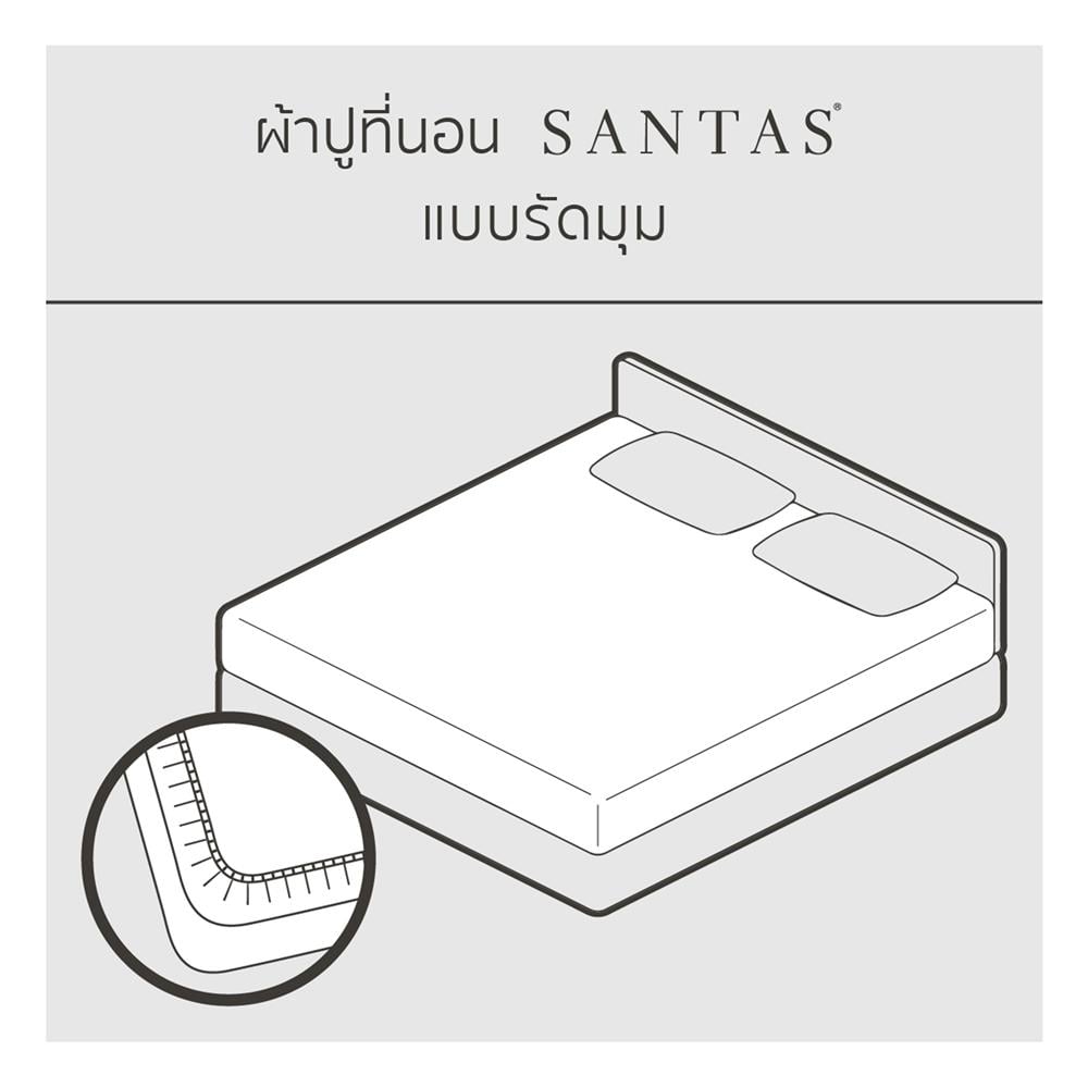 ชุดผ้าปูที่นอน 5 ฟุต (ชุด 6 ชิ้น) SANTAS COTTON USA SWEET PEA PI