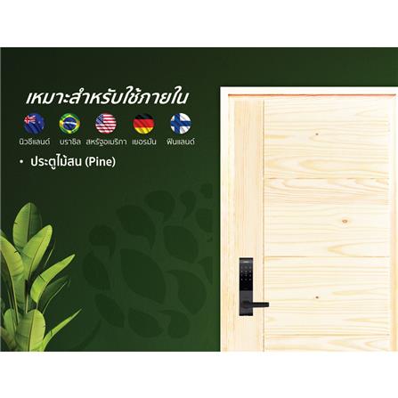 ประตูไม้สนนิวซีแลนด์ D2D ECO PINE-805 90x200 ซม. สีธรรมชาติ ไม่เจาะลูกบิด_3