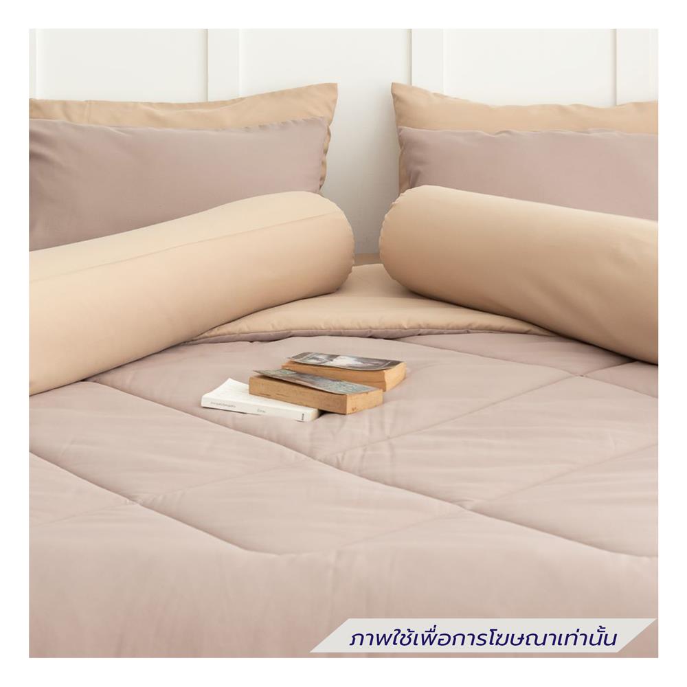 ชุดผ้าปูที่นอน 6 ฟุต (ชุด 6 ชิ้น) SANTA BEDDING สี BROWN/CREAM