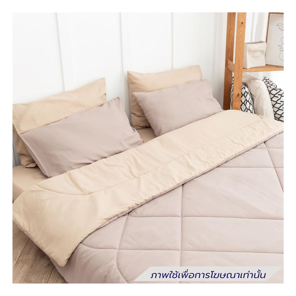 ชุดผ้าปูที่นอน 6 ฟุต (ชุด 6 ชิ้น) SANTA BEDDING สี BROWN/CREAM