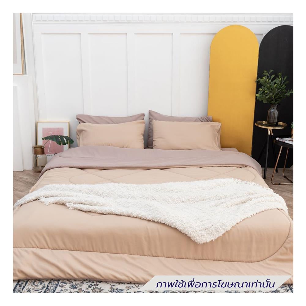 ชุดผ้าปูที่นอน 6 ฟุต (ชุด 6 ชิ้น) SANTA BEDDING สี CREAM/BROWN