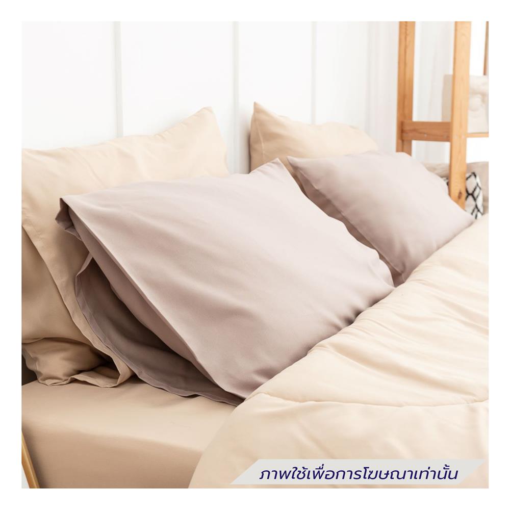 ชุดผ้าปูที่นอน 5 ฟุต (ชุด 6 ชิ้น) SANTA BEDDING สี BROWN/CREAM