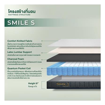 ที่นอน 5 ฟุต PICASSO SMILE S 8 นิ้ว (พร้อมหมอนหนุน 2 ใบ)_5