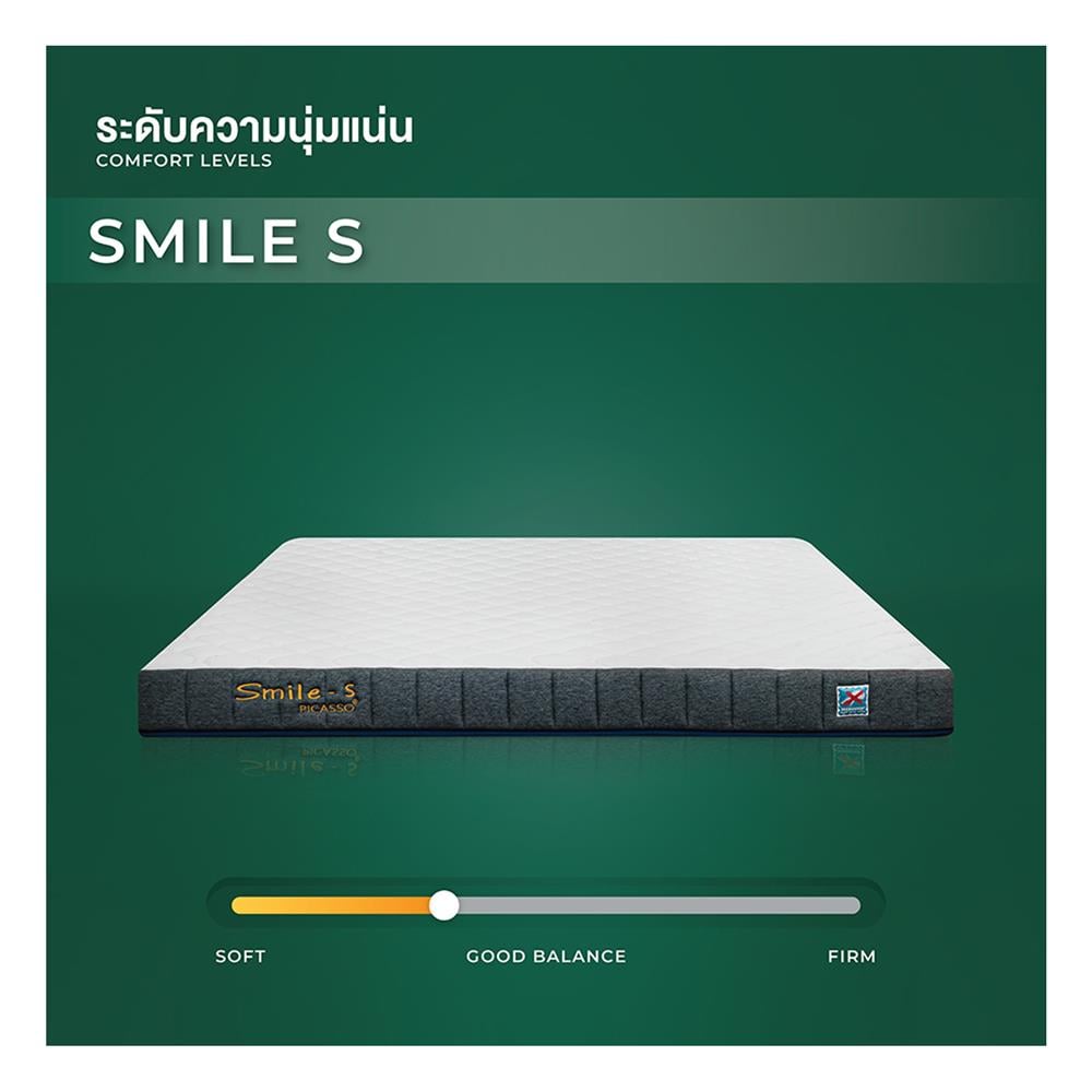 ที่นอน 3.5 ฟุต PICASSO SMILE S 6 นิ้ว (พร้อมหมอนหนุน 1 ใบ)