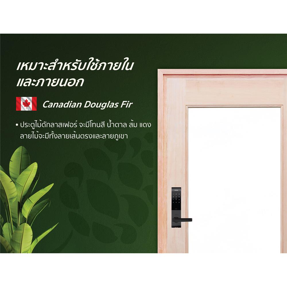 ประตูไม้ดักลาสเฟอร์ ไม่เจาะลูกบิด D2D D2D-419 90x200 ซม. สีธรรมชาติ